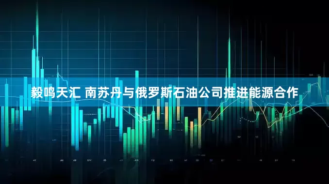 毅鸣天汇 南苏丹与俄罗斯石油公司推进能源合作