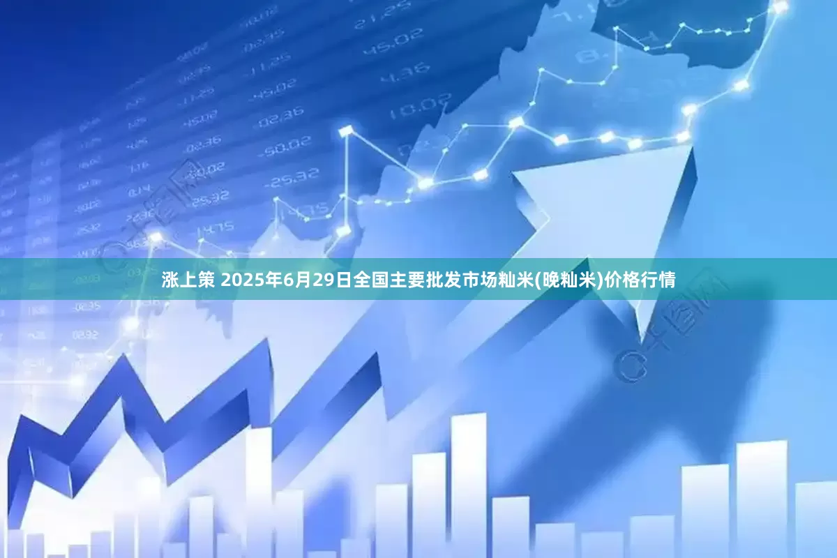 涨上策 2025年6月29日全国主要批发市场籼米(晚籼米)价格行情