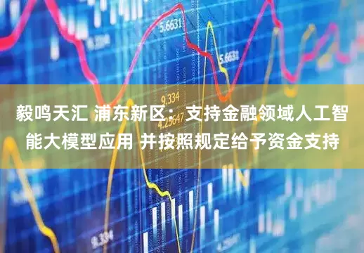毅鸣天汇 浦东新区：支持金融领域人工智能大模型应用 并按照规定给予资金支持