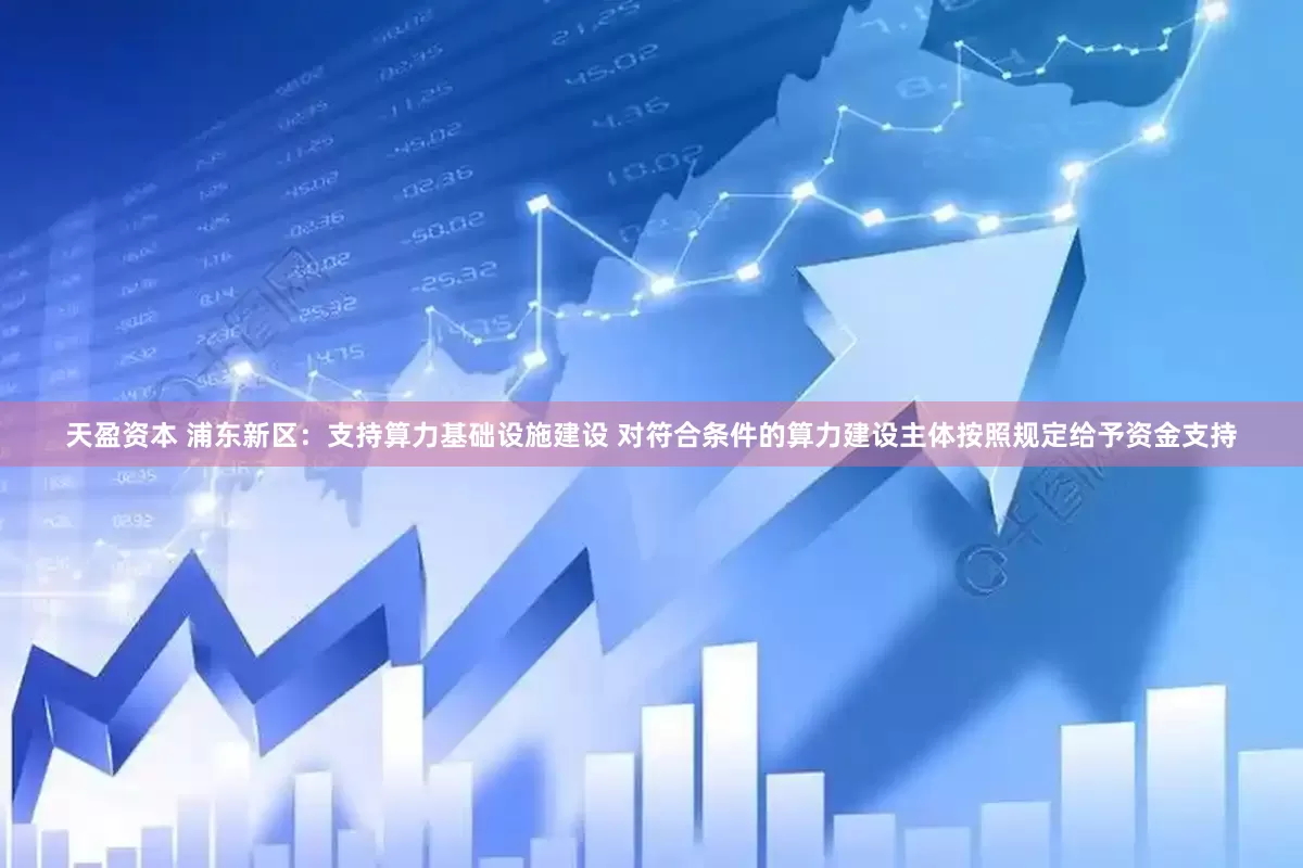 天盈资本 浦东新区：支持算力基础设施建设 对符合条件的算力建设主体按照规定给予资金支持