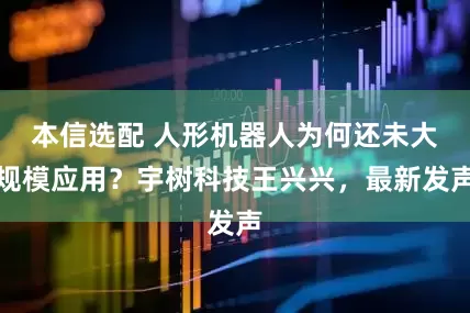 本信选配 人形机器人为何还未大规模应用？宇树科技王兴兴，最新发声